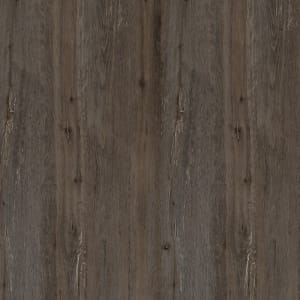 175 Дуб Амберг