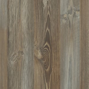 228 Сосна Пике