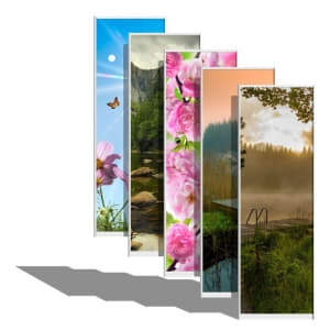 Двери-купе фотопечать