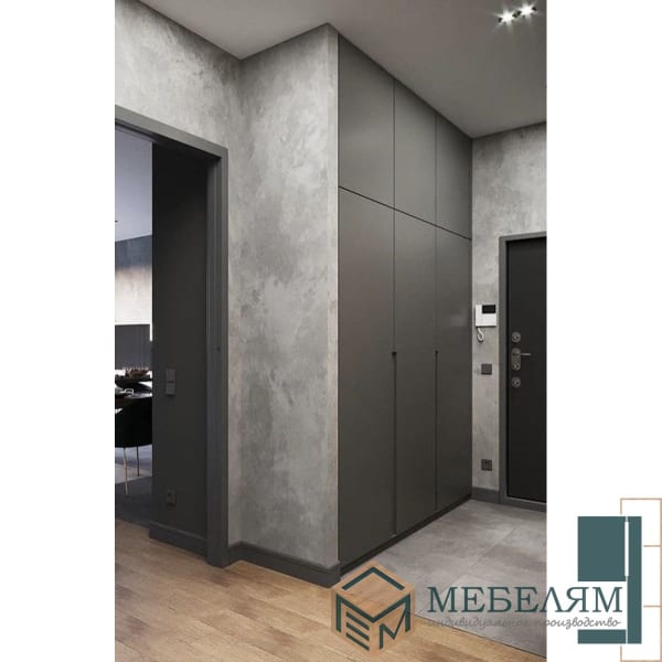 Шкаф Монако Оникс 2