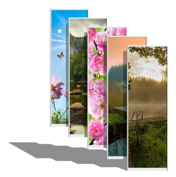 Двери-купе фотопечать