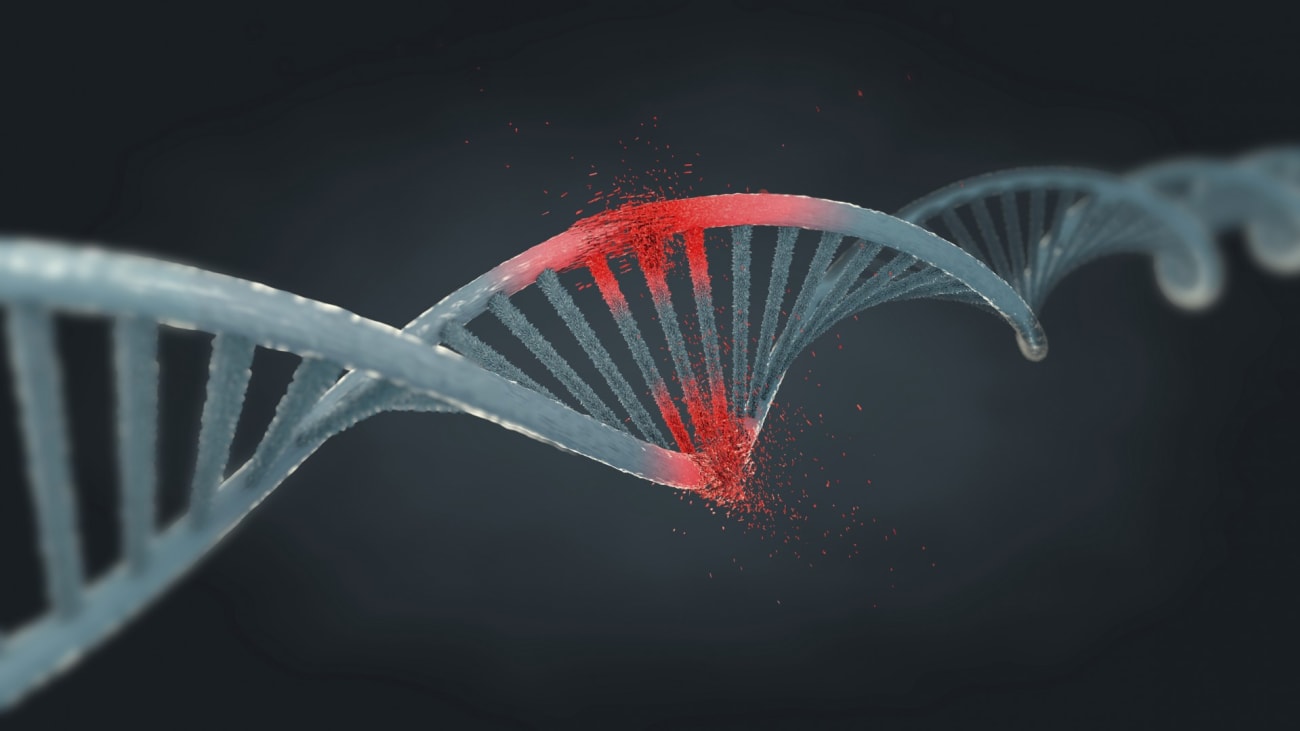 The latest research from a team of investigators, led by Shlomo Melmed, MB, ChB at Cedars-Sinai, have identified growth hormone in the colon that triggers DNA damage, illustrated here.