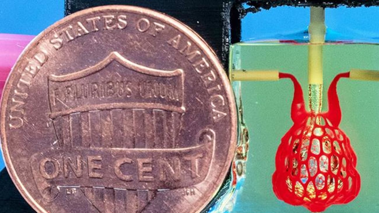 Scale-model, smaller than a penny, of bioprinted lung-mimicking air sac with airways and blood vessels that never touch, but still provide oxygen to red blood cells.