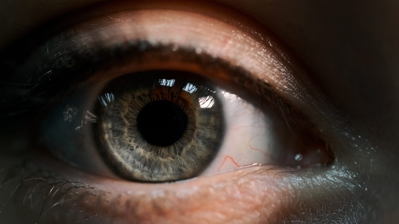 Close up of human eye