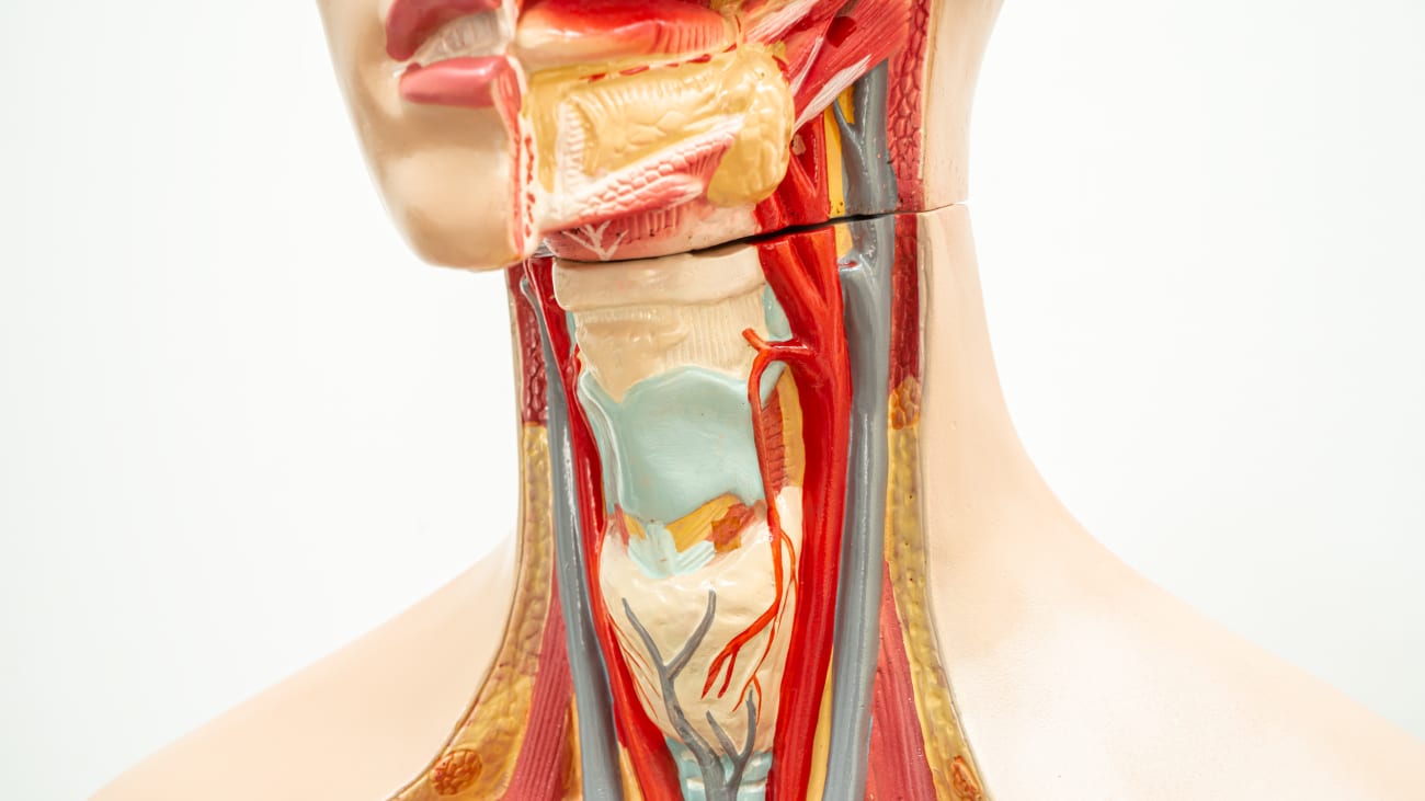 Voice Restoration