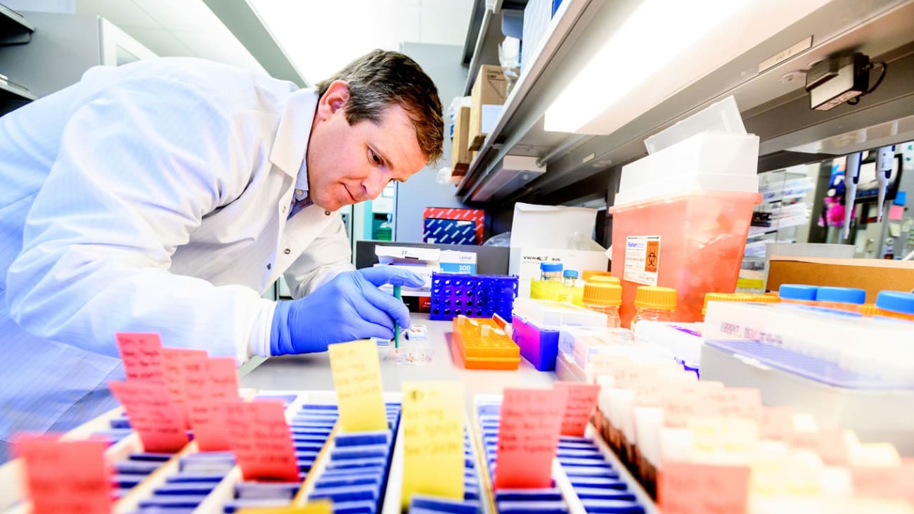 David Solomon, MD, extracts DNA from brain tumor tissue for genomic testing. Image by Noah Berger