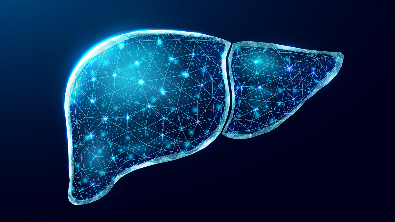Digital illustration of a glowing blue liver
