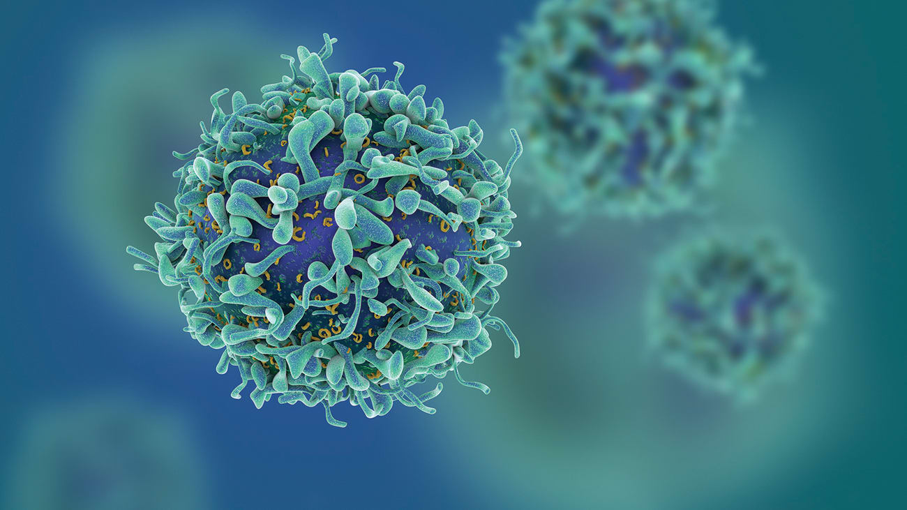 digital rendering of cancer cells