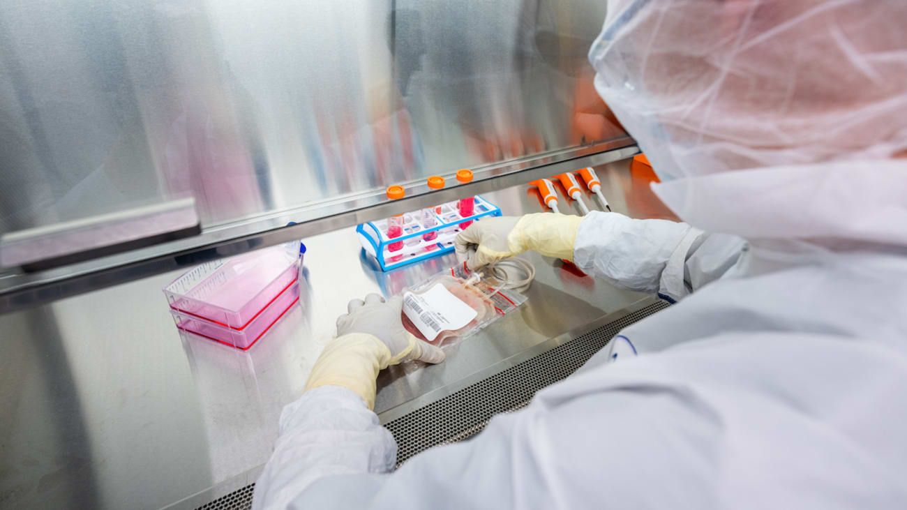 cell therapy