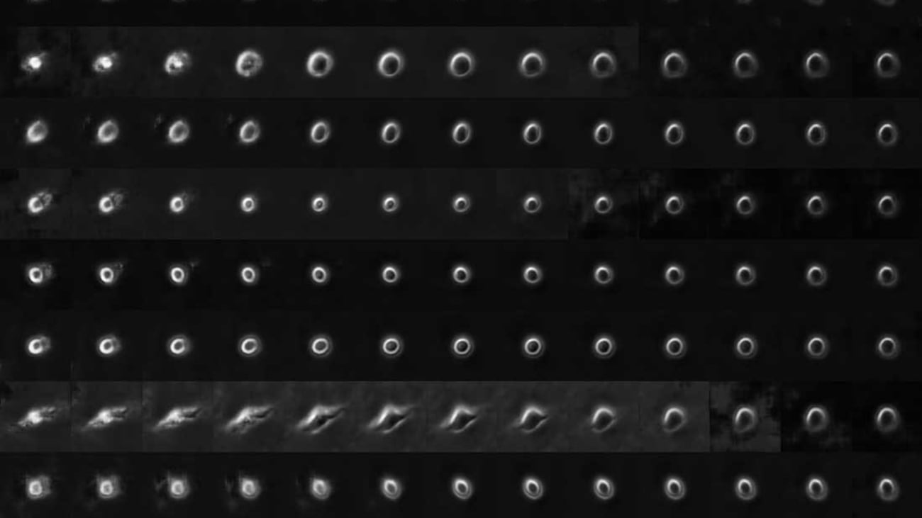 Eight simulations of melanoma cell image traces converted with AI software to show, from left to right, a state of highly metastatic potential to low metastatic potential. Highly metastatic cells tend to extend finger-like protrusions (pseudopodia) and the cell body scatters more light, which relates to a rearrangement of cellular organelles. Credit: Andrew Jamieson