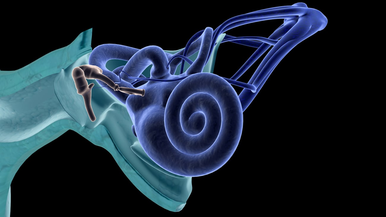 Is drug consumption correlated with benign paroxysmal positional vertigo  (BPPV) recurrence?