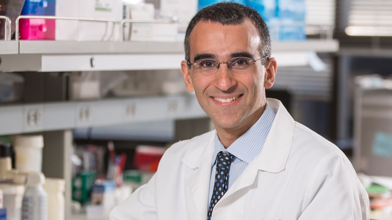 Principal Investigator, Mark O. Goodarzi, MD, PhD