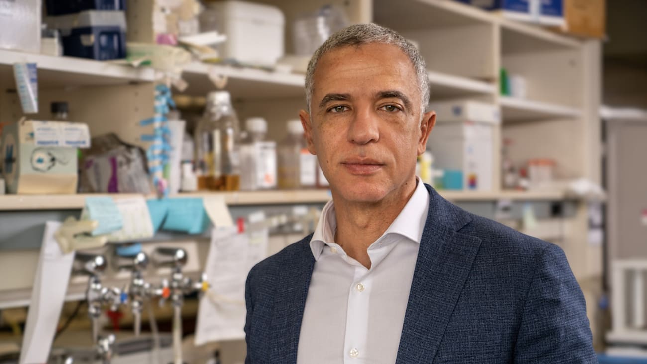 Hesham Sadek, M.D., Ph.D., says he will use the seven years of award funds to identify molecular mechanisms through which cardiac work and oxygenation regulate the heart's ability to regenerate.