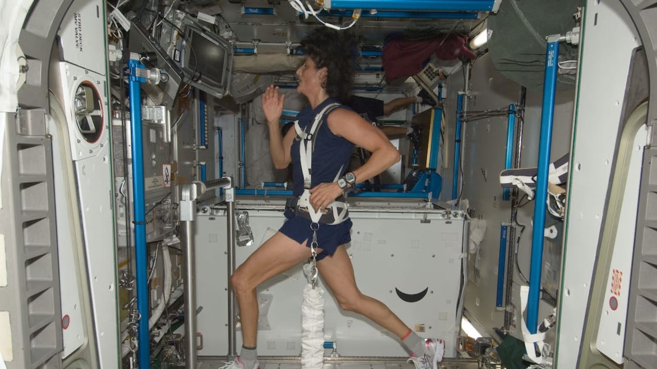 NASA astronaut Sunita Williams uses a bungee harness to exercise on the Combined Operational Load Bearing External Resistance Treadmill (COLBERT) on the International Space Station in 2012. (Photo credit: NASA)