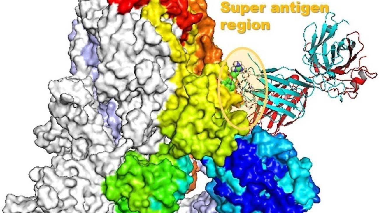 Moshe Arditi, MD, received the PRISM award for his seminal discoveries related to a syndrome that some children develop after becoming sick with COVID-19. Pictured here is a 3D structural model of the spike protein that lives on the surface of SARS-CoV-2, the virus that causes COVID-19, which may trigger the immune system to go into overdrive. Image courtesy of Ivet Bahar, PhD and Mary H Cheng, PhD.