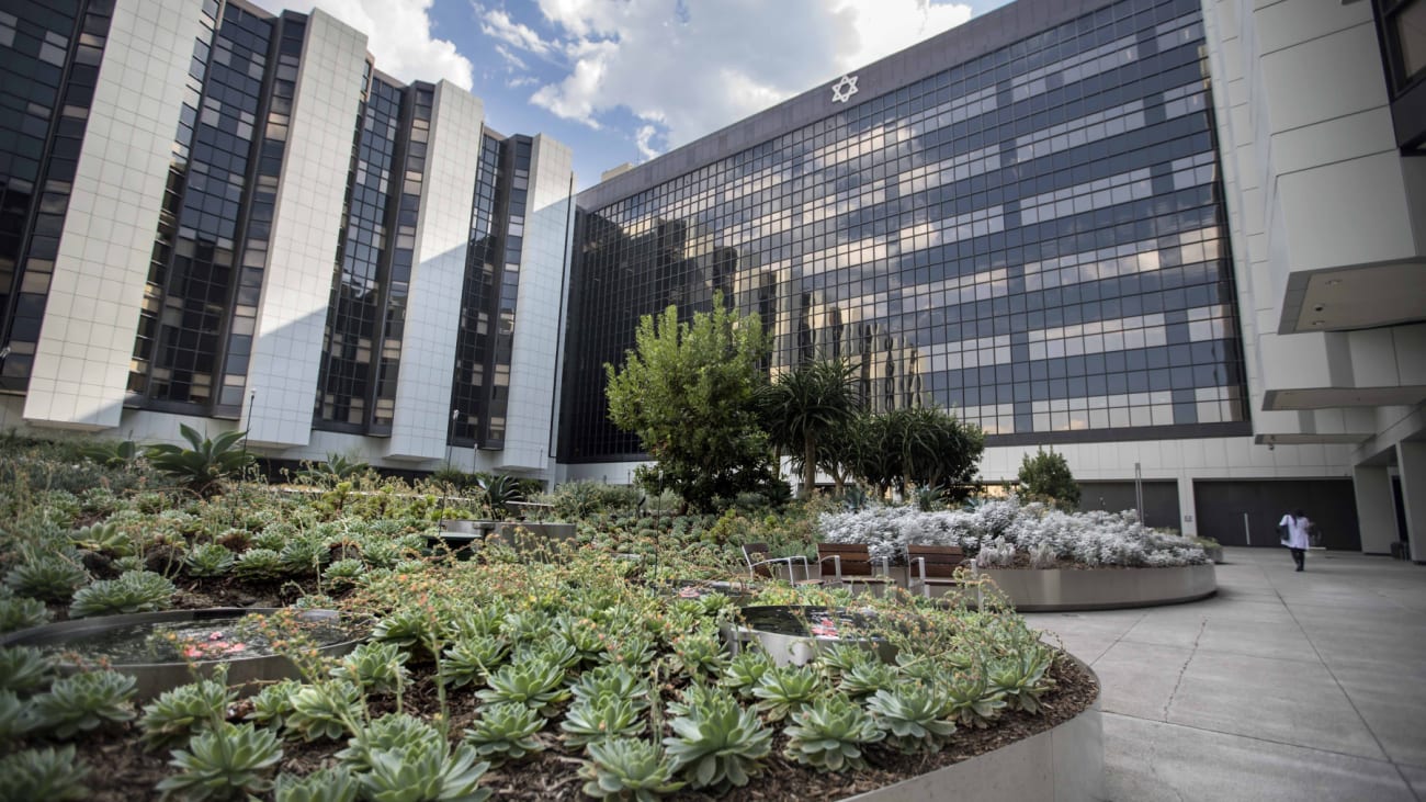 Precision Medicine Specialist Joins The Angeles Clinic CedarsSinai Pulse