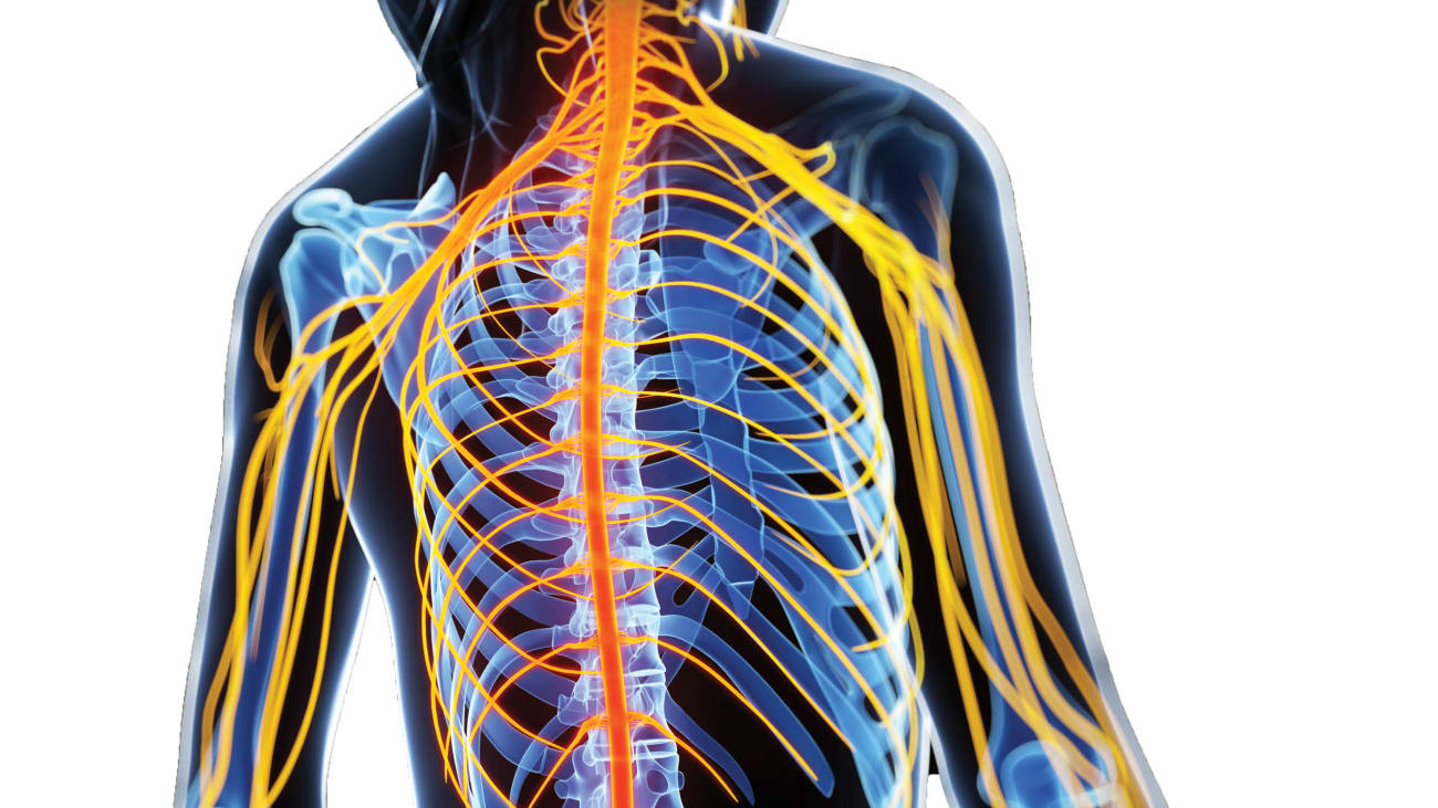 A Deeper Understanding of MS and Vitamin D BroadcastMed