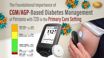 The Foundational Importance of CGM/AGP-Based Management of Persons with T2D in the Primary Care Setting