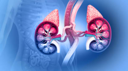 Primary Aldosteronism and Adrenal Insufficiency