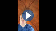 Dr. Austin Lifferth