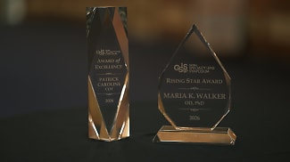 Industry Pros Honored With GSLS Awards