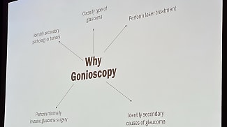 Gonioscopy Still Matters