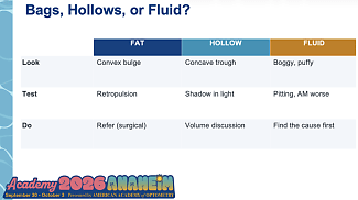 The OD’s Guide to Cosmetic Oculoplastics