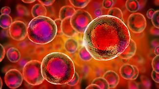 Study Connects Iron Regulation and Vision Loss