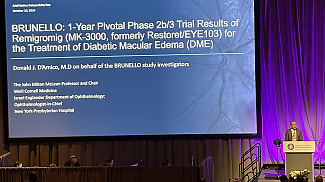 Remigromig Meets Primary Endpoint in BRUNELLO Trial
