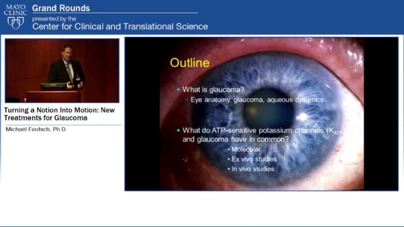 Grand Rounds (CME) Turning a Notion Into Motion New Treatments for