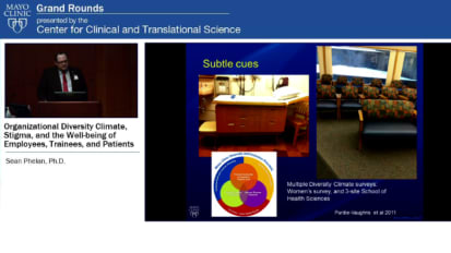 Grand Rounds: Organizational Diversity Climate, Stigma, and the Well-being of employees, trainees, and patients