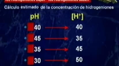 Grand Rounds en Español: Diagnóstico de Problemas de Ácido-Base