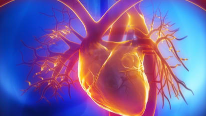 Grand Rounds — Postgraduate Medical Education: Coupling Technology With Learning Theory in Curriculum Development. A Mayo Clinic Perspective