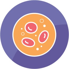 Hematologic Malignancies Icon