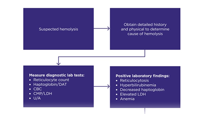 A Rare Case of Acute Hemolysis After Rasburicase Infusion