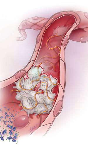 Jan/Feb 2026 Cover Art