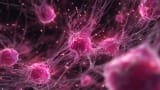 Managing Patients With Chronic GVHD Across the Treatment Continuum