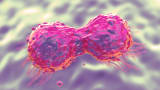 Targeted Therapy Management in HR+ Metastatic Breast Cancer  
