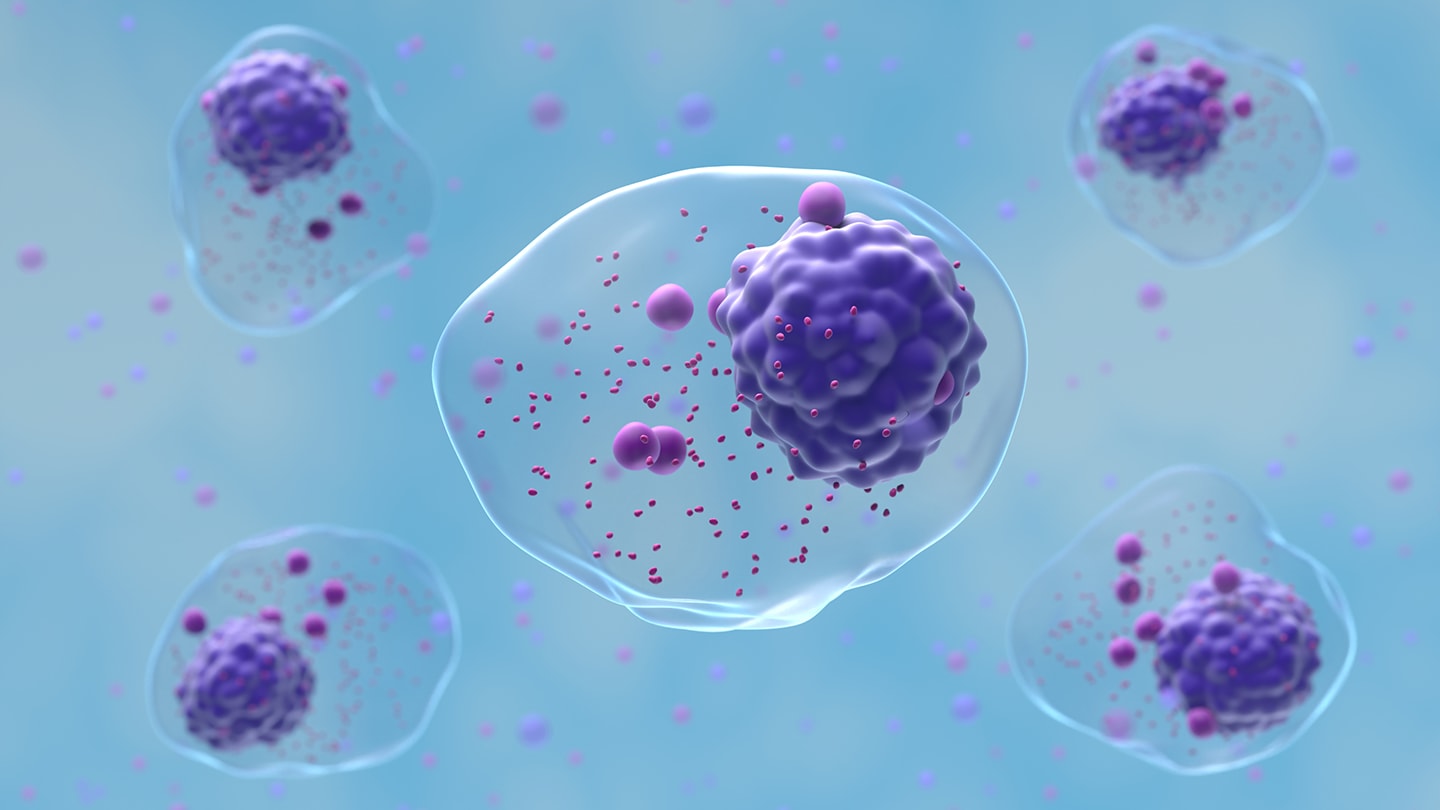 Microscopic illustration of cells suspended in fluid.
