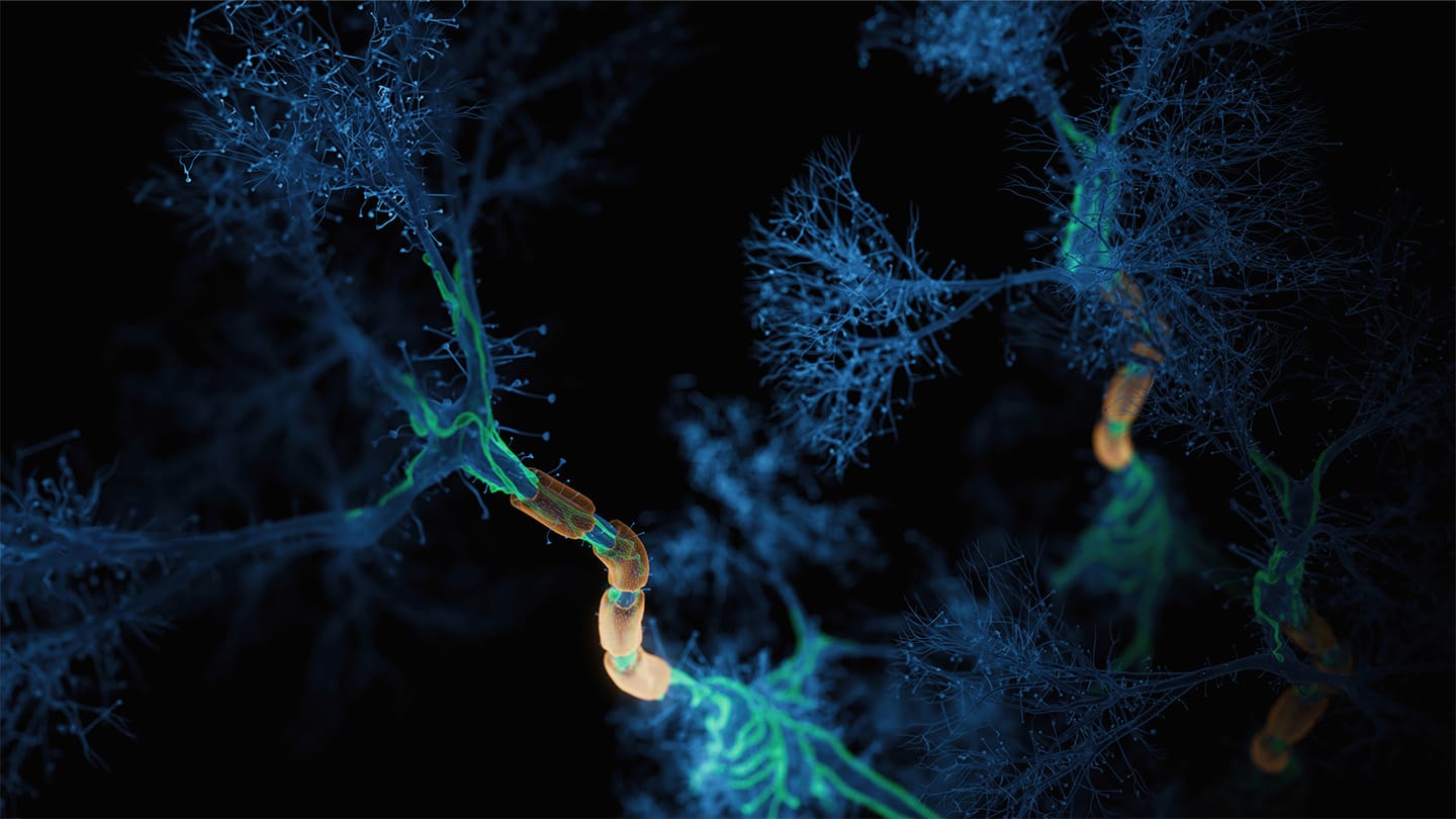 Illustration of branching neurons with highlighted structures.
