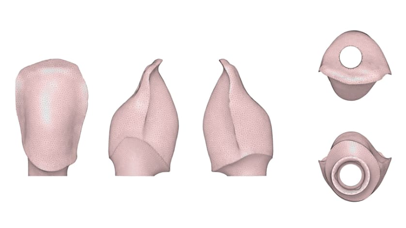 thumb description