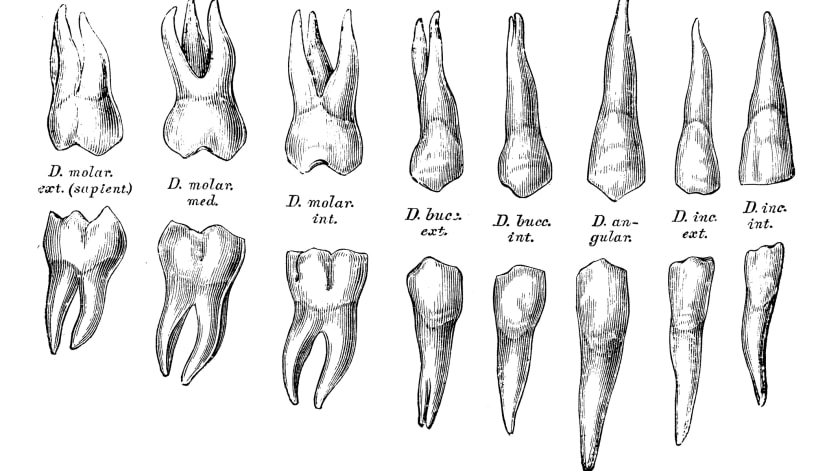 thumb description