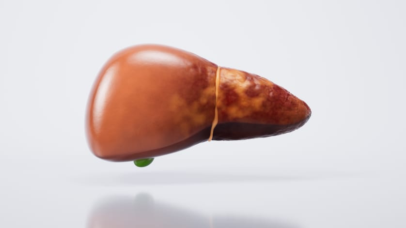 thumb description