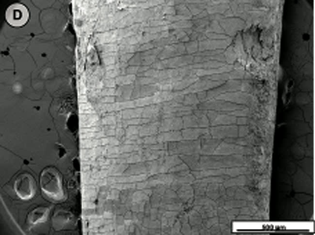 Figure 2D