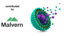 Direct visualization, sizing and concentration measurements of drug delivery nanoparticles