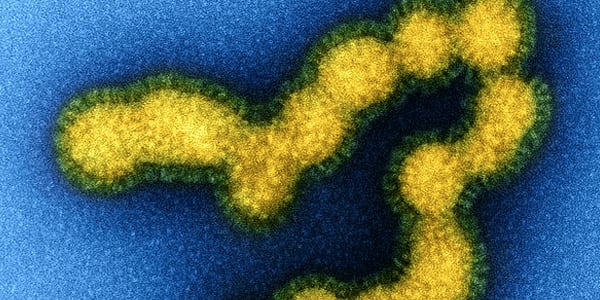 Fighting Flu