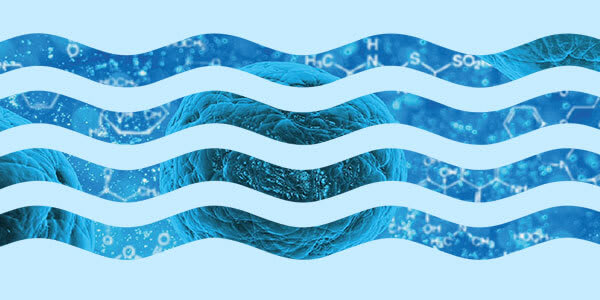 Riding the Cell Therapy Wave