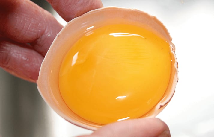 How Do You Like Your Eggs?