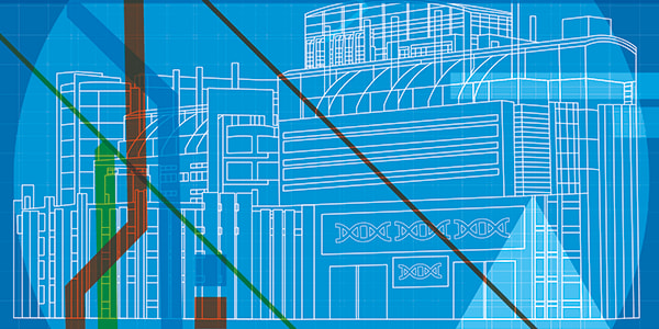 The Right Choices in Biomanufacturing
