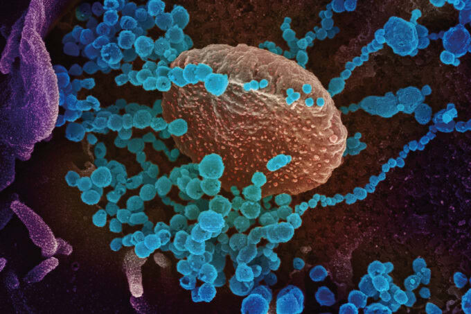 A Molecular Advantage